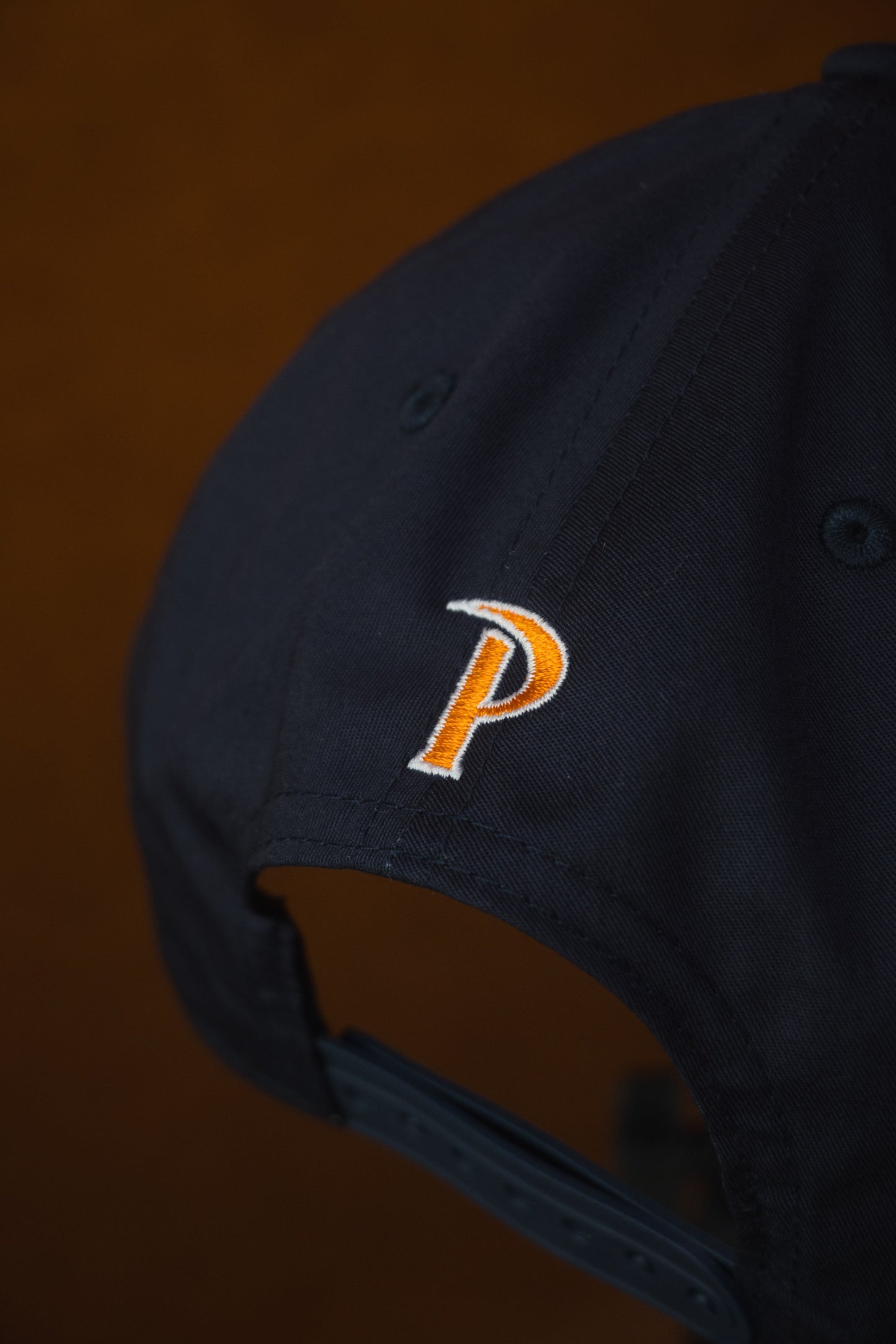 Classic Waves Snapback